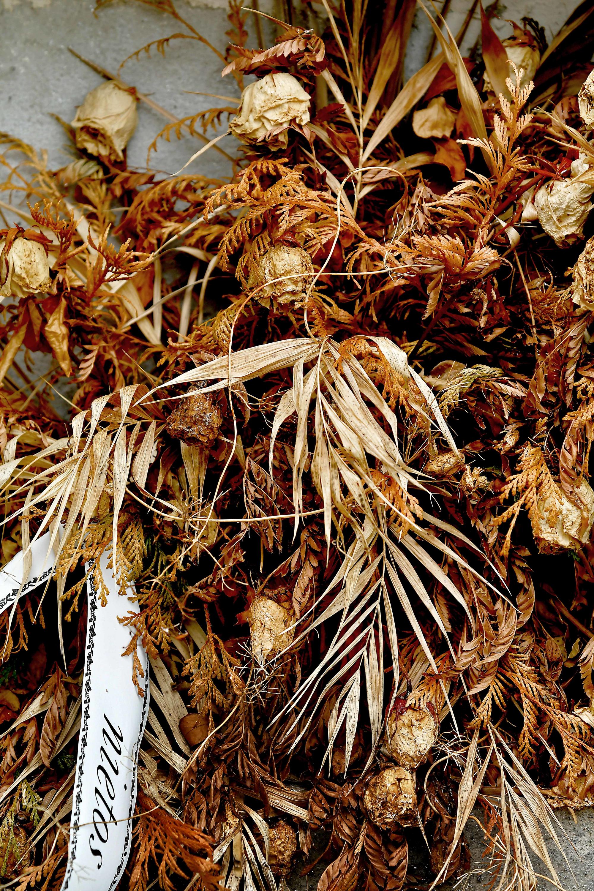 Mientras galería coronavirus - 9